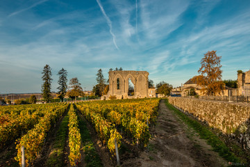 Saint emilion