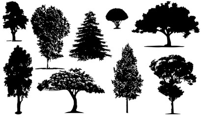 Silhouettes of trees