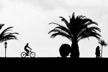 Biker silhouette