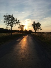 country road in the sunset