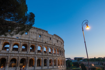 Wall Mural - The Colosseum and Palatine Hill - Amazing Rome, Italy