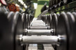 © dima - Rows of dumbbells in the gym