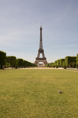 Torre Eiffel desde los jardines