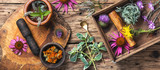 set healthy herbs