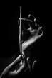© izhphoto - The artist's hands hold a brush