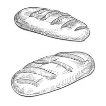 Two Loaves Isolated On White Background. Vector Illustration Of A Sketch Style.