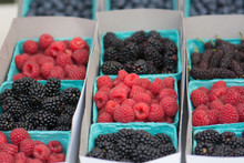Assortment Of Berries For Sale. Farmer Market. Pints Of Raspberries, Blueberries, Blackberries, Mulberries. Organic.