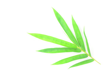  bamboo leaves on White background texture.beautiful surface