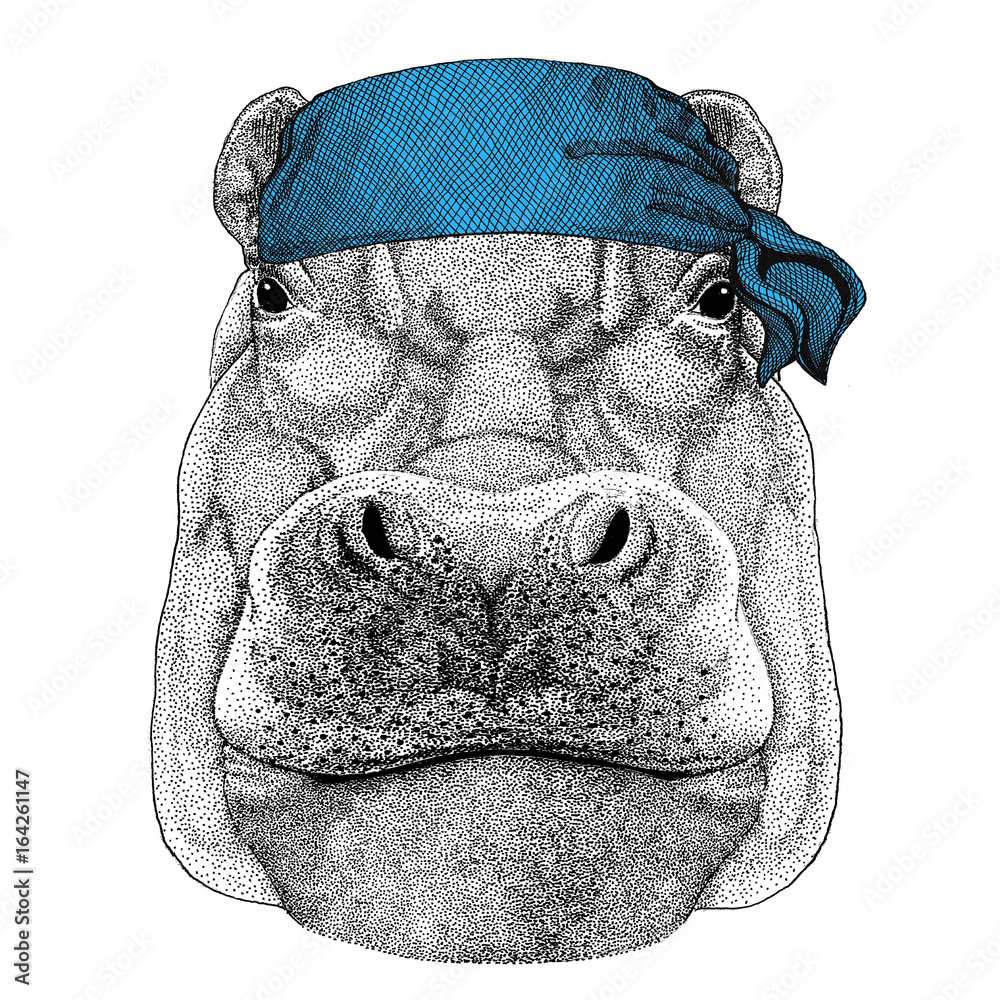 Hippo, Hippopotamus, behemoth, river-horse Wild animal wearing