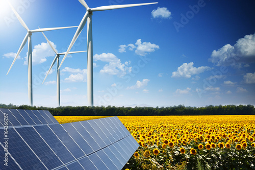 Cuadros en Lienzo Green energy concept with solar panels and wind turbines on a sunflower field