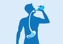 Silhouette Of Body Man Drinking Water From Bottle Flow Into Stomach. Illustration About Healthy Lifestyle.