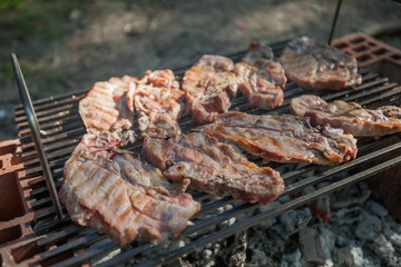 Delicious grilled meat on a barbecue