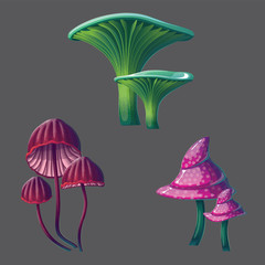 Wall Mural - A high quality fantasy mushrooms set.