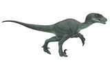 Fototapeta  - velociraptor running pose 3d rendering