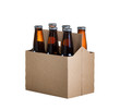Six pack of glass bottled beer in generic brown cardboard carrier isolated on white