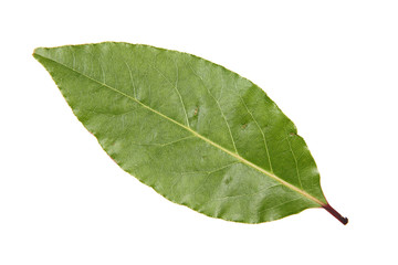 Wall Mural - bay leaf cut out and isolated on a white background