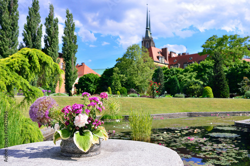 Plakat Ogród botaniczny Wrocławia. Widok na katedrę i jezioro z lotosami.