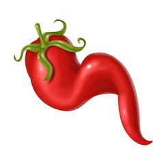 Sticker - peperoncino riccio