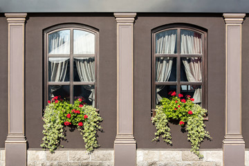 Wall Mural - old house with windows decorated with geranium flowers and ivy in flower boxes