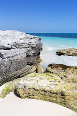 Wall Mural - Rocky shore on the Caribbean sea.