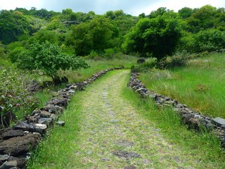 A path in the green country