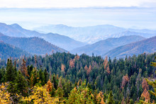 Sequoia National Park Mountain Landscape At Autumn