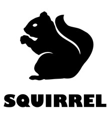 Wall Mural - Vector Squirrel Icon