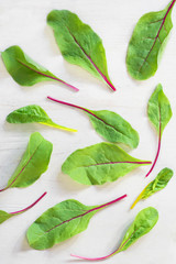 Wall Mural - Young fresh beet leaves on a white wooden background. Vertical format