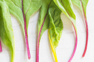 Wall Mural - Salad ingredients. Fresh beet leaves on white wooden background