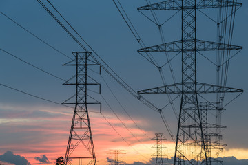 Wall Mural - Group silhouette of transmission towers (power tower, electricity pylon, steel lattice tower) at twilight in Humble, Texas, US. Texture high voltage pillar, overhead power line, industrial background.