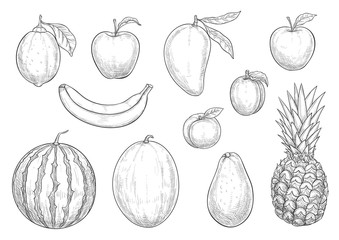 Wall Mural - Fresh exotic fruits sketch vector isolated icons