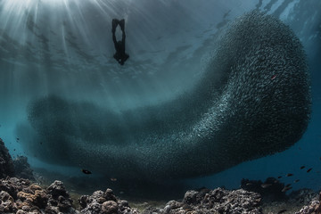 underwater seascapes