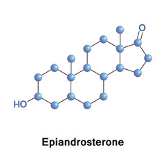 Canvas Print - Epiandrosterone is a steroid hormone with weak androgenic activity. It is a metabolite of testosterone and DHT