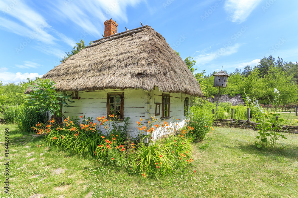 Drewniana, kryta strzechą chata wiejska na polskim Podlasiu w okolicach Janowa Podlaskiego - obrazy, fototapety, plakaty 