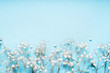 © VICUSCHKA - Little white Gypsophila flowers on blue background, pretty floral border, top view, copy space, horizontal