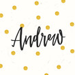 Hand drawn calligraphy personal name Andrew