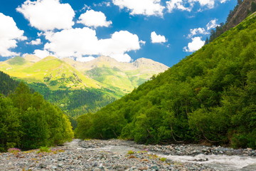 Wall Mural - Mountain summer. Sunny day. Green forest and meadow