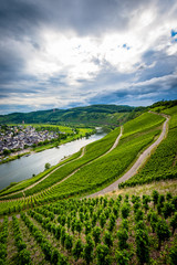 Canvas Print - Zell (Cochem) - Germany