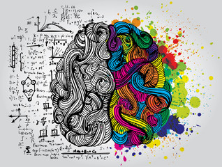 Wall Mural - Left and right human brain. Creative half and logic half of human mind. Vector illustration.
