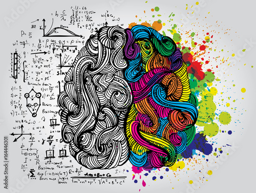 Left and right human brain. Creative half and logic half of human mind. Vecto...