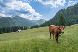 Tatry 201706029