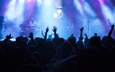 Cheering crowd at a concert