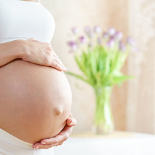 Belly Of Caucasian Pregnant Woman In Light Room With Flowers