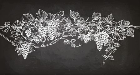 Canvas Print - vine sketch on chalkboard