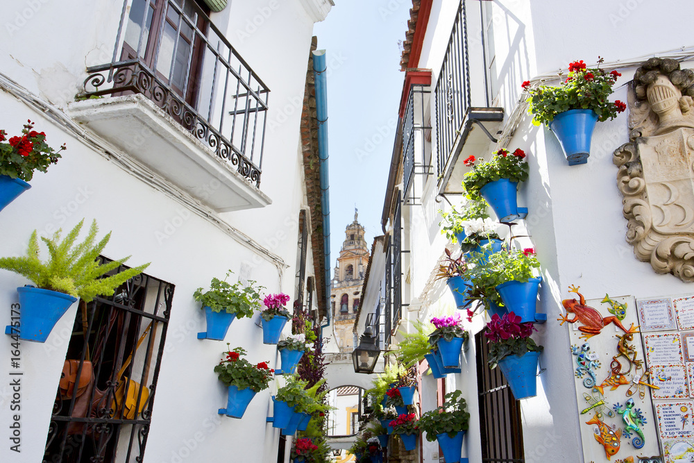 Flowers in flowerpot on the white walls on famous Flower street Calleja de las Flores in old Jewish quarter of Cordoba, Andalusia - obrazy, fototapety, plakaty 