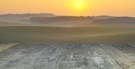 Wall Mural - wood board table in front of field of wheat on sunset light. Ready for product display montages