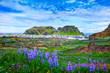 Panoramic View of Vestmannaeyjar town on Westman Islands of Iceland
