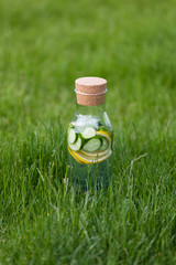 Wall Mural - A glass decanter with a summer refreshing lemonade made of lemons and cucumber with mint added on a green grass background. Detox water. Ingredients. Cleaning the body of toxins, vitamins