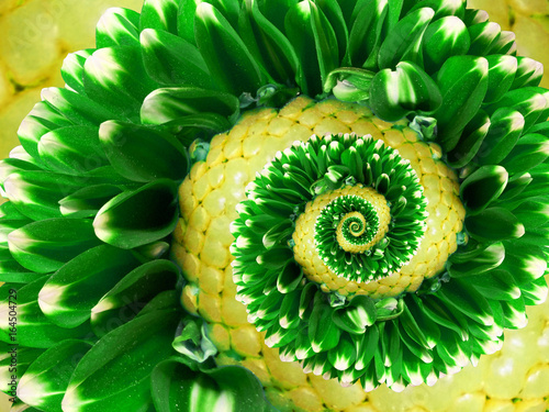 yellow-green-flower-spiral-abstract-fractal-effect-pattern-background-floral-spiral-abstract-pattern-fractal-incredible-green-flowers-pattern-round-circle-spirally-incredible-background