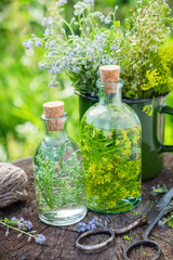 Wall Mural - bottles of tincture or infusion of healing herbs, medicinal herbs in green enameled mug on old stump